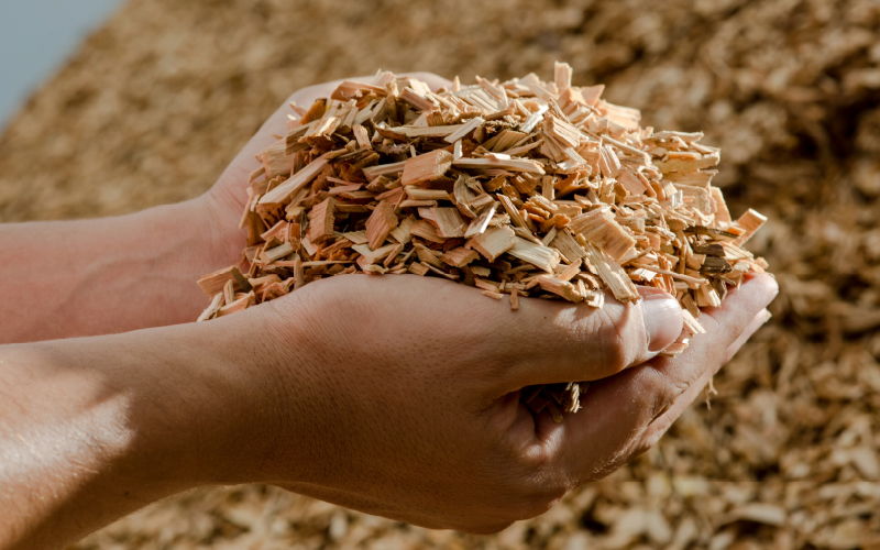 CMC Biomassa revoluciona o setor com biocombustíveis sólidos