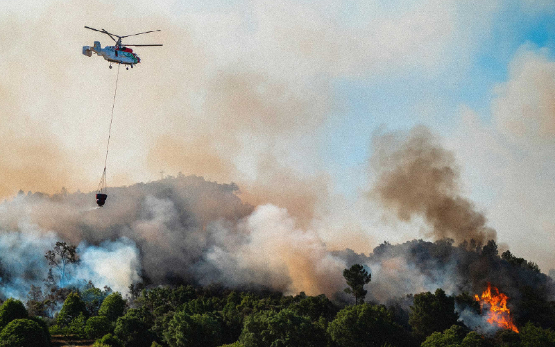 OCDE propõe nova estratégia para prevenir incêndios