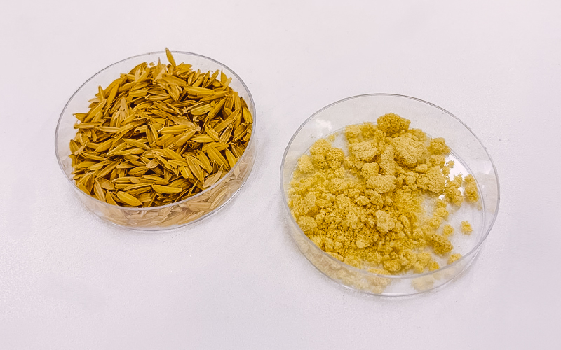 Novo projeto transforma resíduos em materiais automóveis